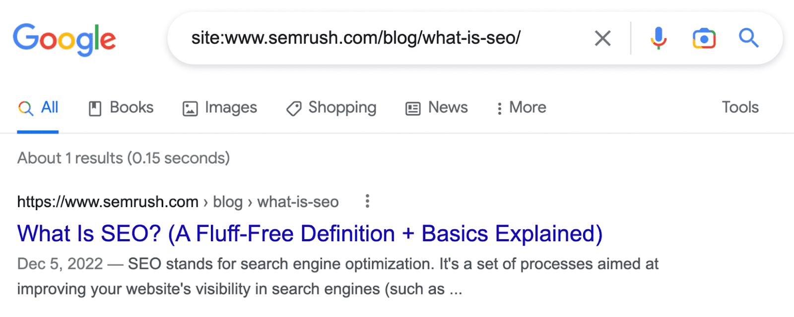 Google's result for “site:sem2.pak.toolaccess.click/blog/what-is-seo/”